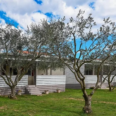 Apartment Miluska