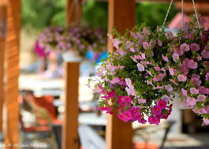 Miluska * سفيتي فيليب ياكوف